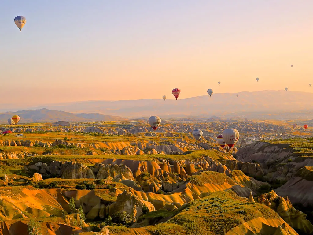 Mediora template preview